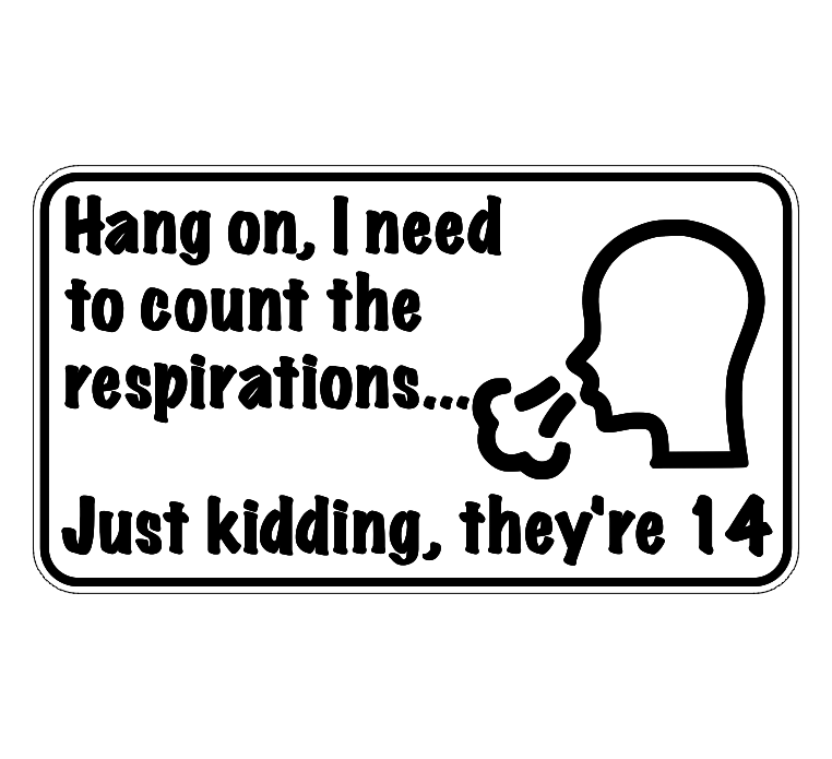 Hang on, I need to count the respirations... Just kidding, they're 14.