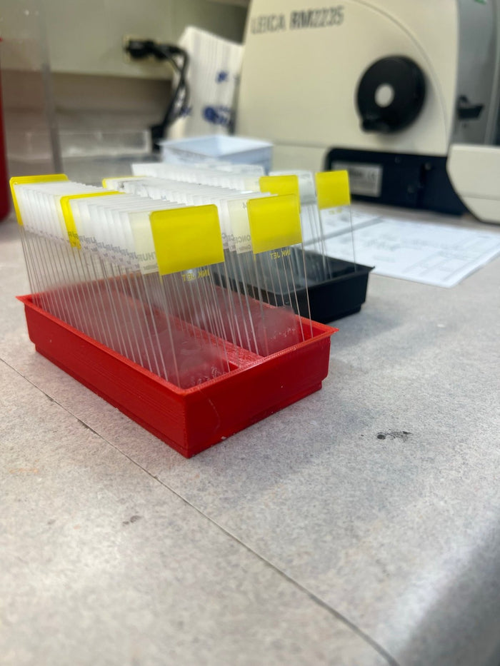 Red 50-slide upright drying rack holding glass slides on a lab bench next to a microscope