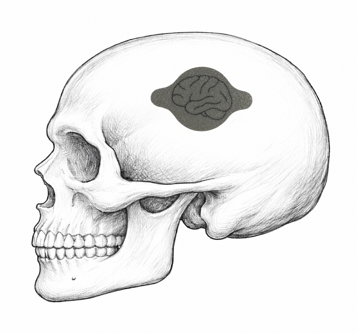 Gray brain-shaped AirTag holder on a drawing of a skull