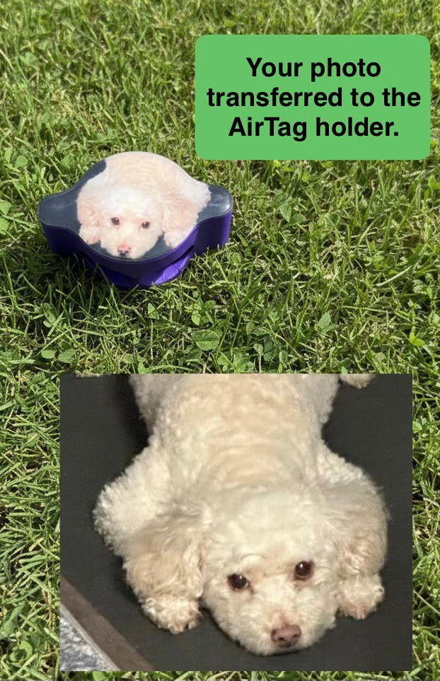 AirTag holder with a photo of a small white dog transferred onto it, shown with the original photo on grass