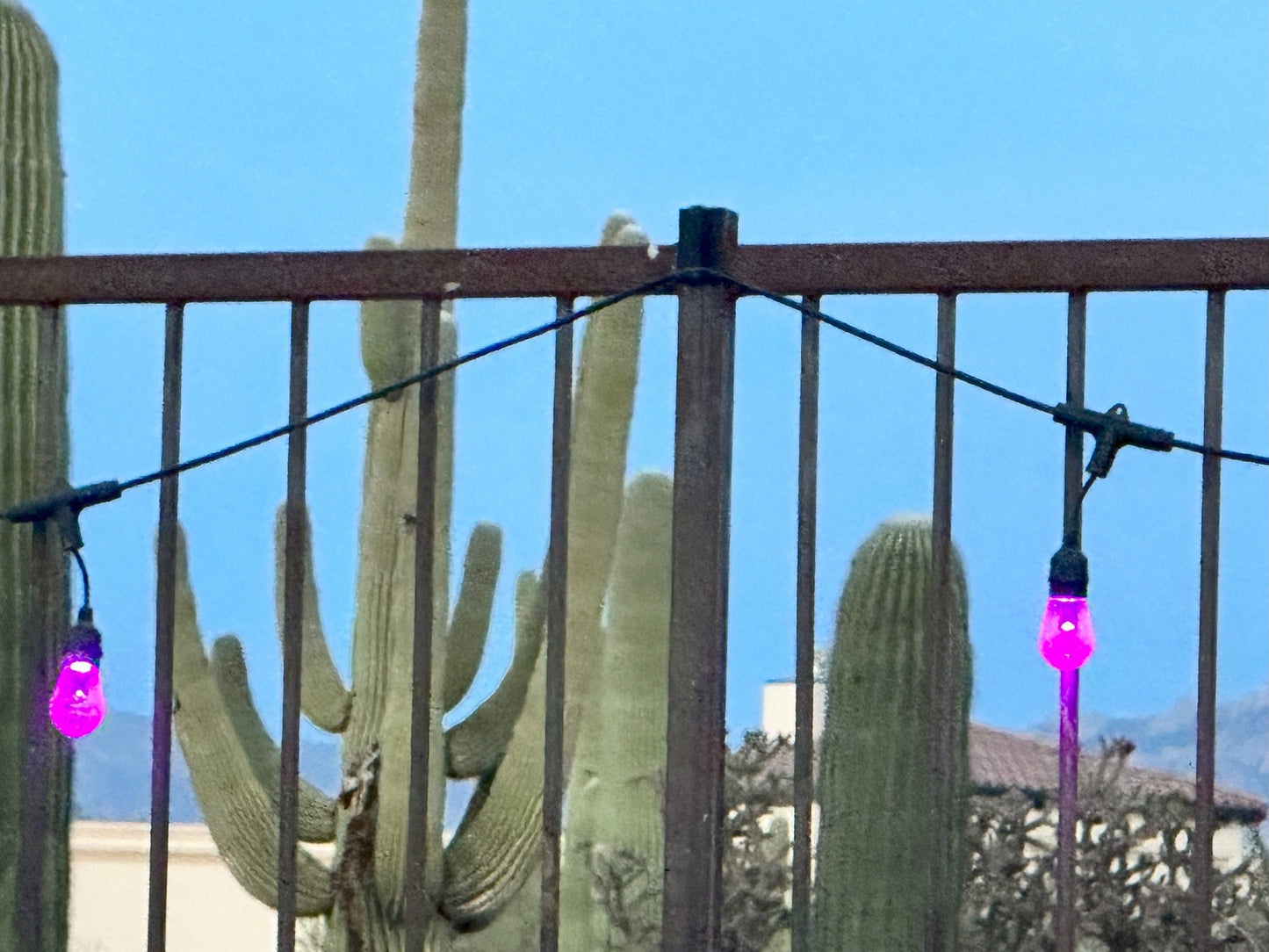 Wrought Iron Fence String Light Holder / Mount